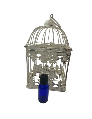 Decorazione Gabbie Quadrate Sfumate...