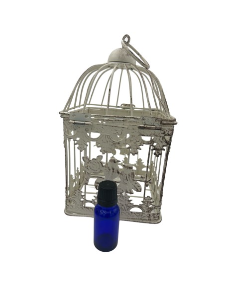 Decorazione Gabbie Quadrate Sfumate con Uccellini | 2 in 1