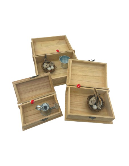Scatole Legno | Libro - 3 in 1