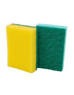 Spugna SILVY COLOR - 10 Pezzi 2