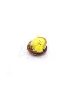 Pulcini Ovetto Schiuso