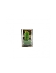 Candela Cactus con Contenitore Vetro 7x5x5cm