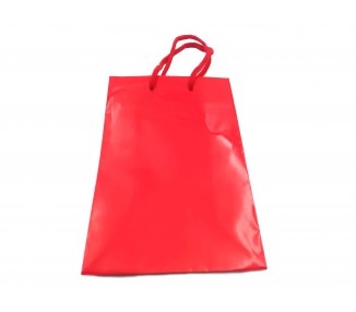 Shopper in Carta - Rosso Lucido - 16x24x8