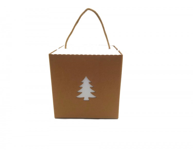 Scatola in Carta - Cubo Albero Avana - 21x21x21