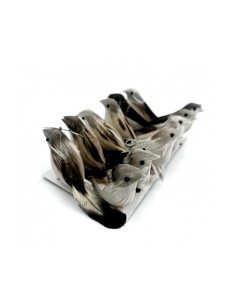 Uccellini Pasqua Set 12